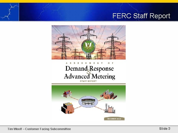 FERC Staff Report Tim Woolf – Customer Facing Subcommittee Slide 3 