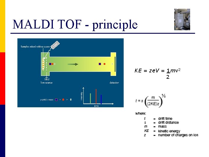 MALDI TOF - principle KE = ze. V = 1 mv 2 2 