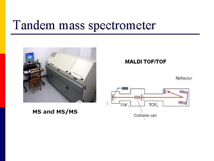 Tandem mass spectrometer MALDI TOF/TOF MS and MS/MS 