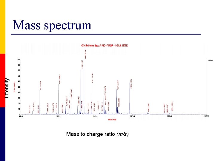 Intensity Mass spectrum Mass to charge ratio (m/z) 