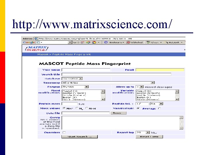 http: //www. matrixscience. com/ 