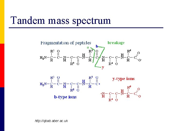 Tandem mass spectrum http: //qbab. aber. ac. uk 