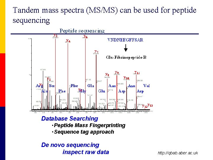 Tandem mass spectra (MS/MS) can be used for peptide sequencing Database Searching • Peptide