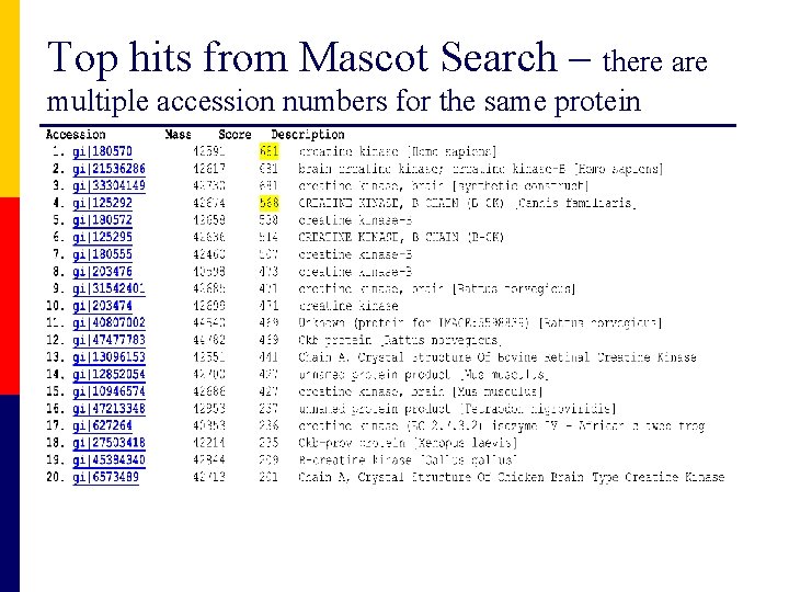 Top hits from Mascot Search – there are multiple accession numbers for the same