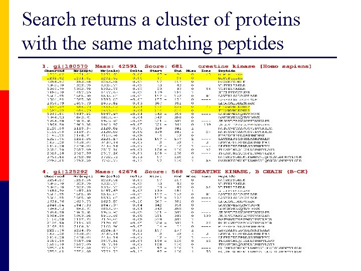 Search returns a cluster of proteins with the same matching peptides 