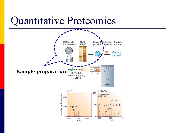 Quantitative Proteomics Sample preparation 