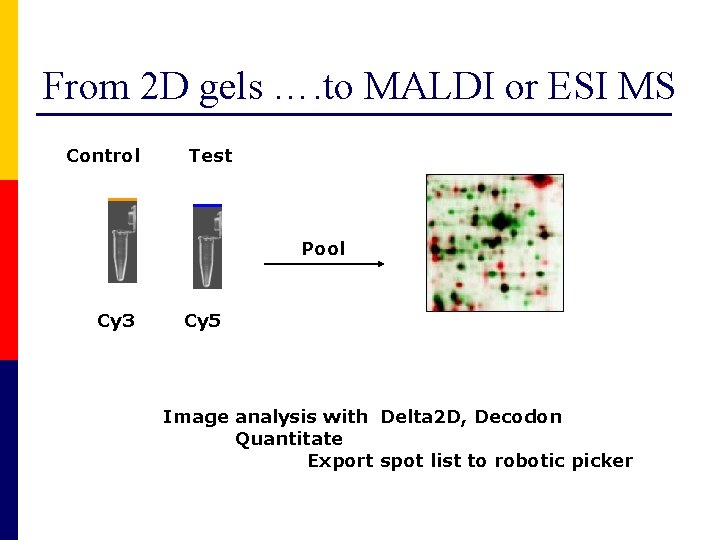 From 2 D gels …. to MALDI or ESI MS Control Test Pool Cy