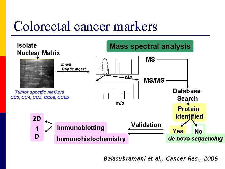 Colorectal cancer markers Isolate Nuclear Matrix Mass spectral analysis MS In-gel Tryptic digest m/z