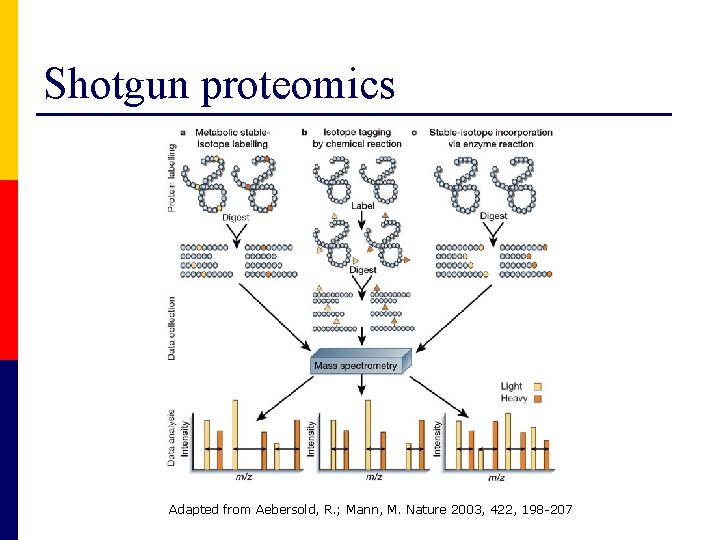 Shotgun proteomics Adapted from Aebersold, R. ; Mann, M. Nature 2003, 422, 198 -207