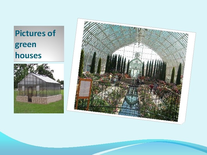 Pictures of green houses 