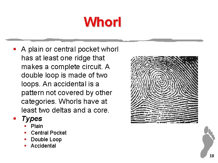 Whorl § A plain or central pocket whorl has at least one ridge that