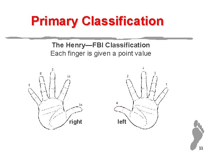 Primary Classification The Henry—FBI Classification Each finger is given a point value right left