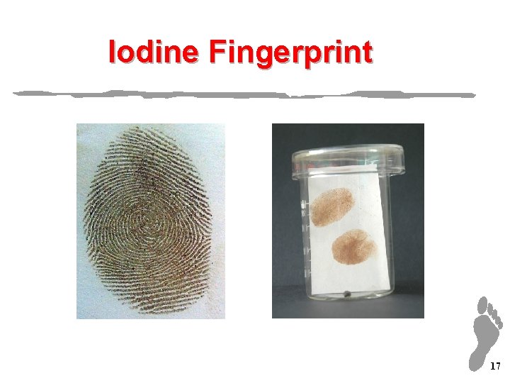 Iodine Fingerprint 17 