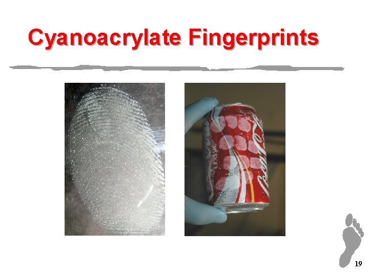 Cyanoacrylate Fingerprints 19 