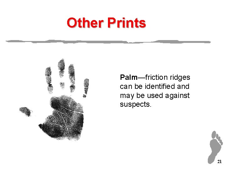 Other Prints Palm—friction ridges can be identified and may be used against suspects. 21