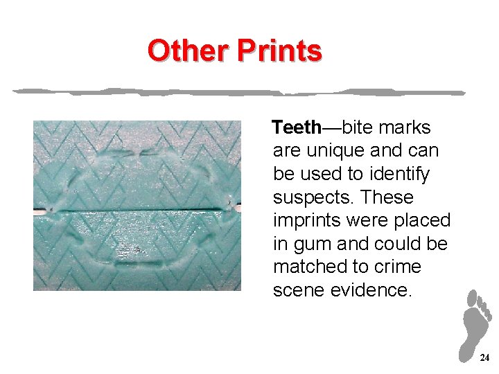 Other Prints Teeth—bite marks are unique and can be used to identify suspects. These
