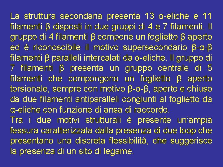 La struttura secondaria presenta 13 α-eliche e 11 filamenti β disposti in due gruppi