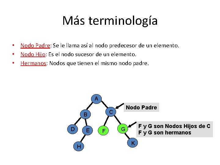 Más terminología • Nodo Padre: Se le llama así al nodo predecesor de un