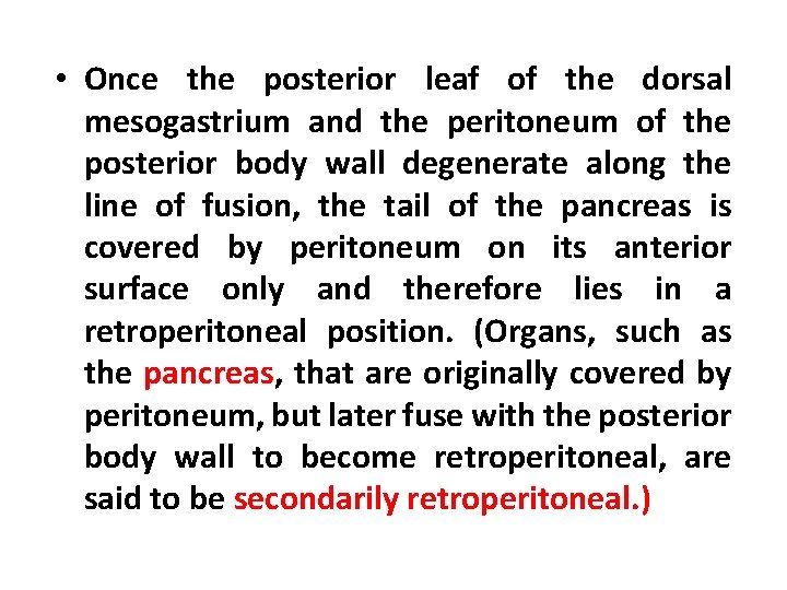  • Once the posterior leaf of the dorsal mesogastrium and the peritoneum of
