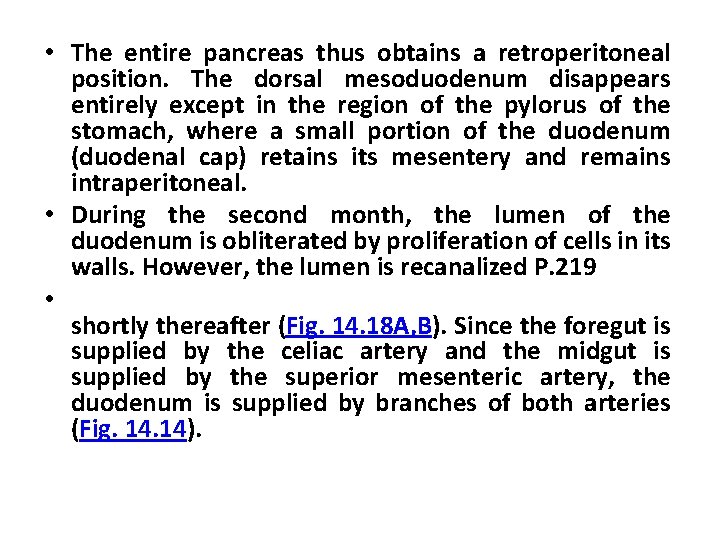  • The entire pancreas thus obtains a retroperitoneal position. The dorsal mesoduodenum disappears