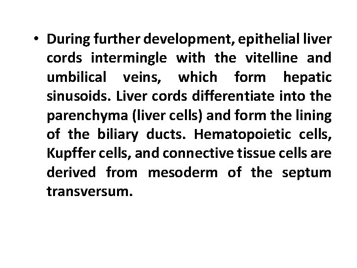  • During further development, epithelial liver cords intermingle with the vitelline and umbilical