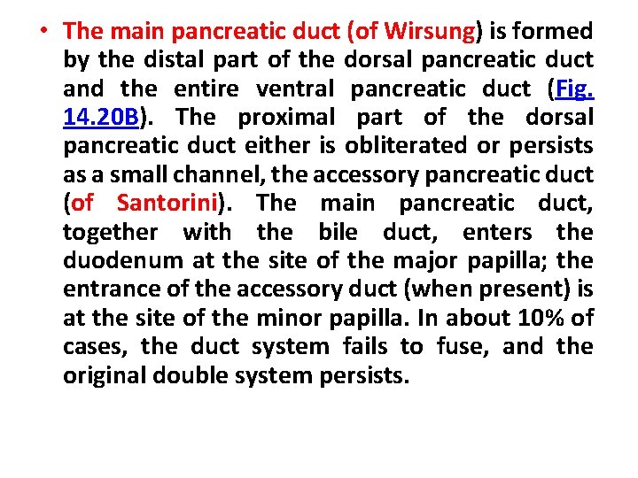  • The main pancreatic duct (of Wirsung) is formed by the distal part