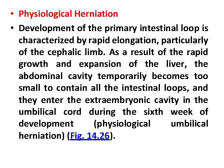  • Physiological Herniation • Development of the primary intestinal loop is characterized by