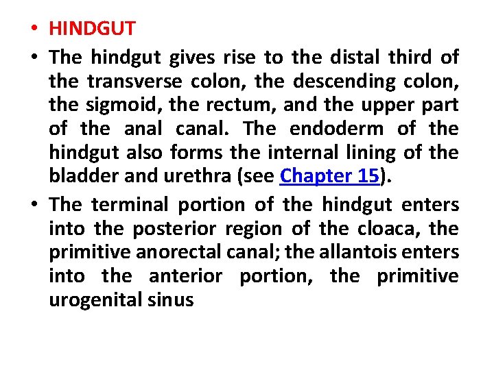  • HINDGUT • The hindgut gives rise to the distal third of the