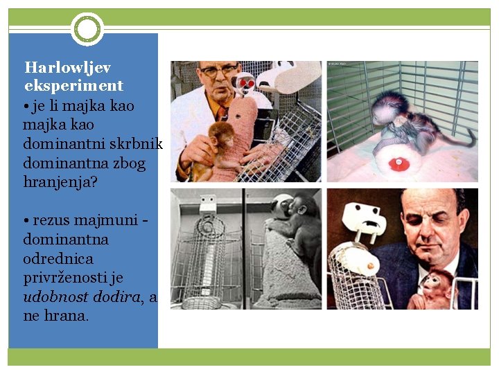 Harlowljev eksperiment • je li majka kao dominantni skrbnik dominantna zbog hranjenja? • rezus