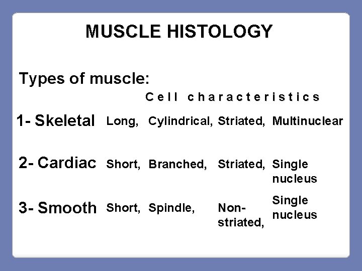 MUSCLE HISTOLOGY Types of muscle: Cell characteristics 1 - Skeletal Long, Cylindrical, Striated, Multinuclear