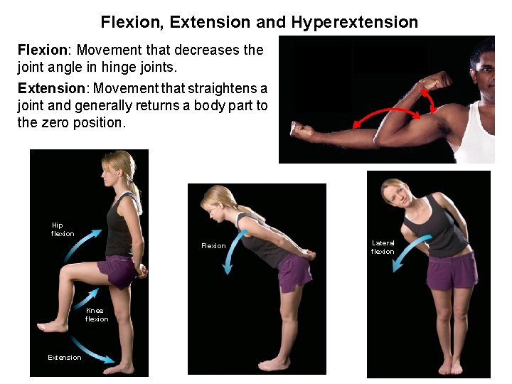 Flexion, Extension and Hyperextension Flexion: Movement that decreases the joint angle in hinge joints.