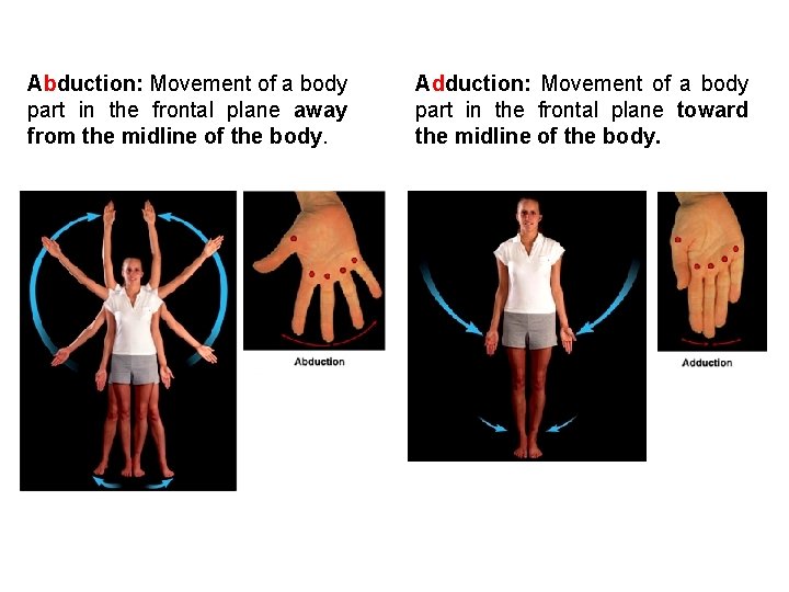 Abduction: Movement of a body part in the frontal plane away from the midline