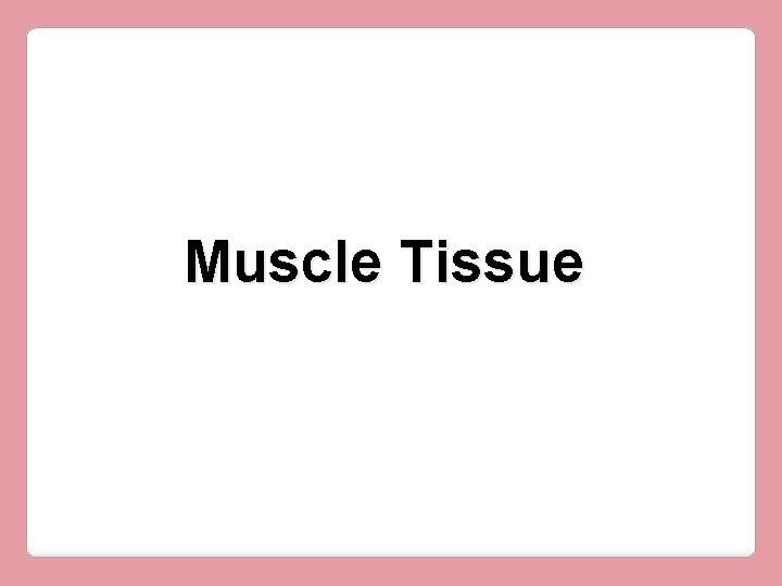 Muscle Tissue 