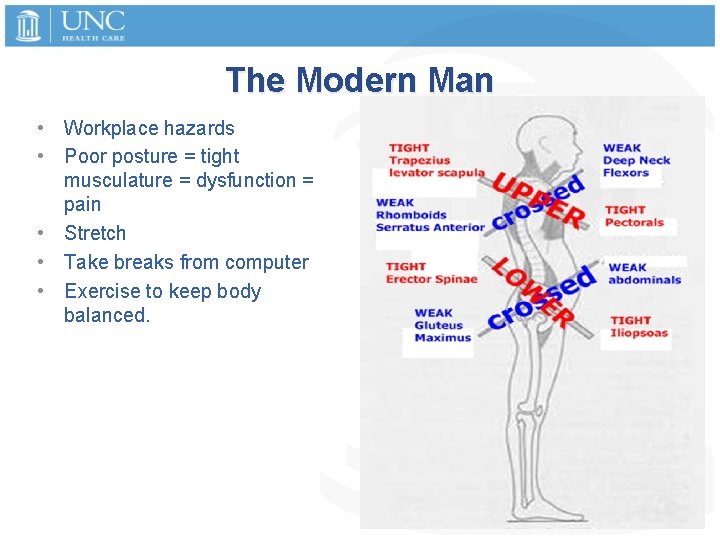 The Modern Man • Workplace hazards • Poor posture = tight musculature = dysfunction