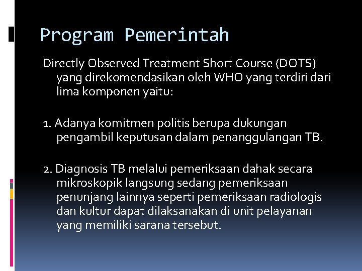 Program Pemerintah Directly Observed Treatment Short Course (DOTS) yang direkomendasikan oleh WHO yang terdiri