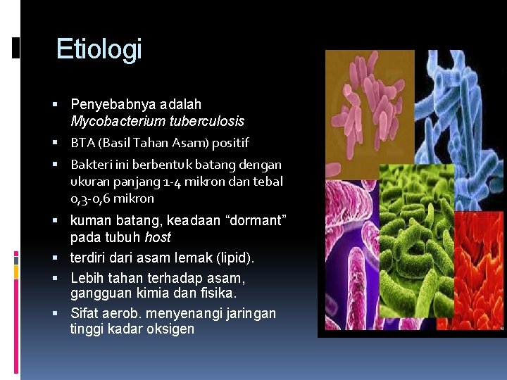 Etiologi Penyebabnya adalah Mycobacterium tuberculosis BTA (Basil Tahan Asam) positif Bakteri ini berbentuk batang