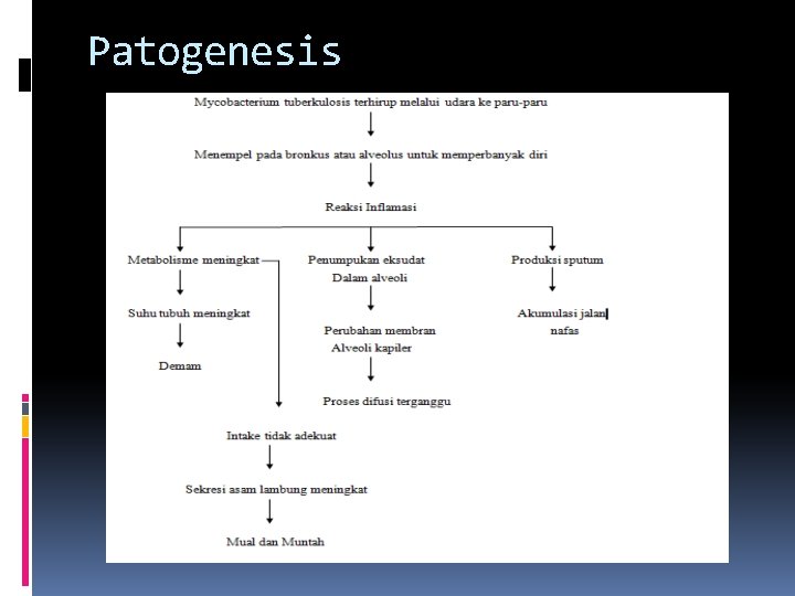 Patogenesis 