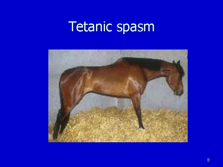 Tetanic spasm 8 