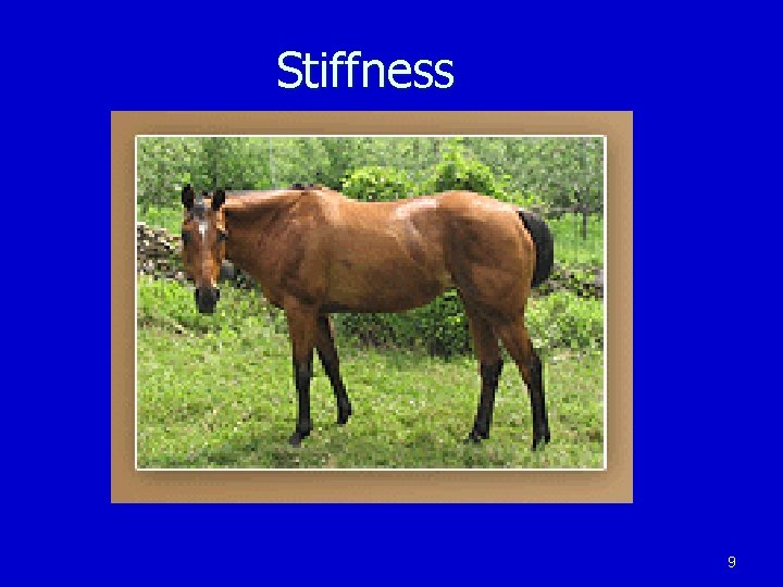 Stiffness 9 