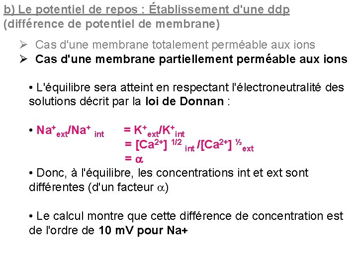 b) Le potentiel de repos : Établissement d'une ddp (différence de potentiel de membrane)