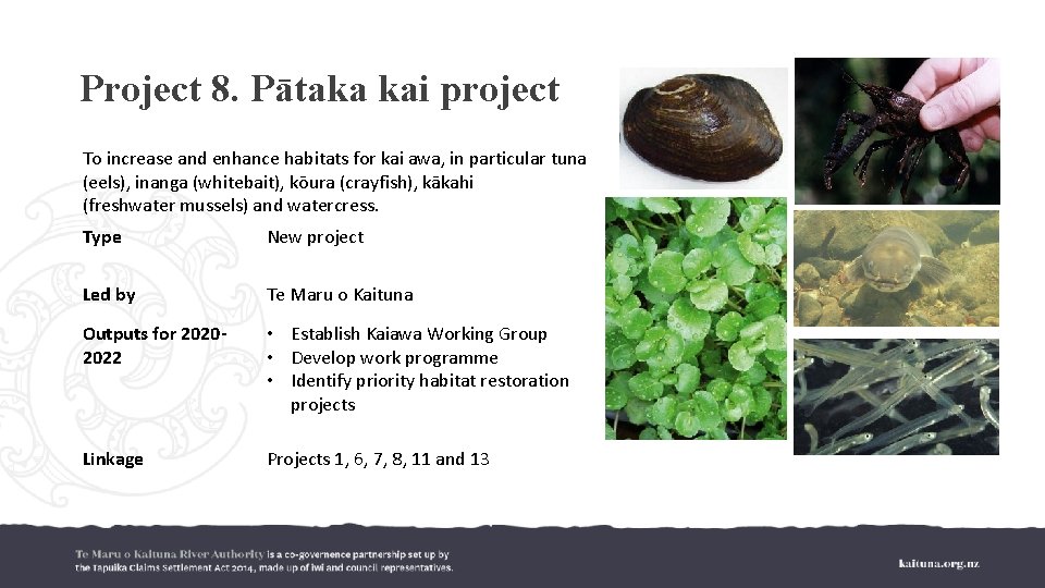 Project 8. Pātaka kai project To increase and enhance habitats for kai awa, in