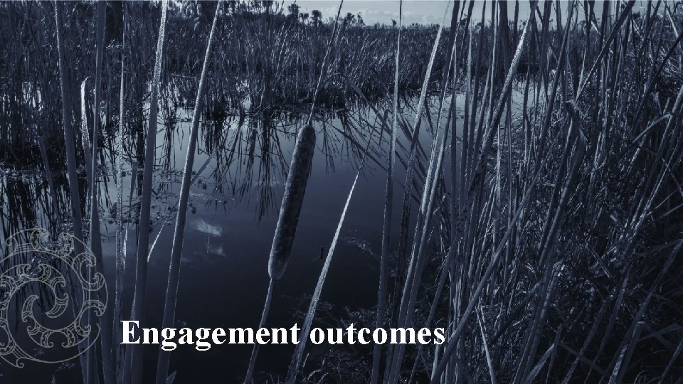 Engagement outcomes 