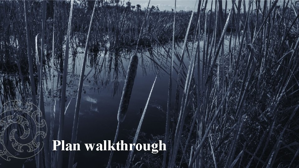 Plan walkthrough 