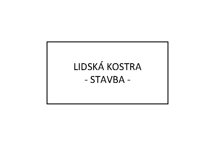 LIDSKÁ KOSTRA - STAVBA - 