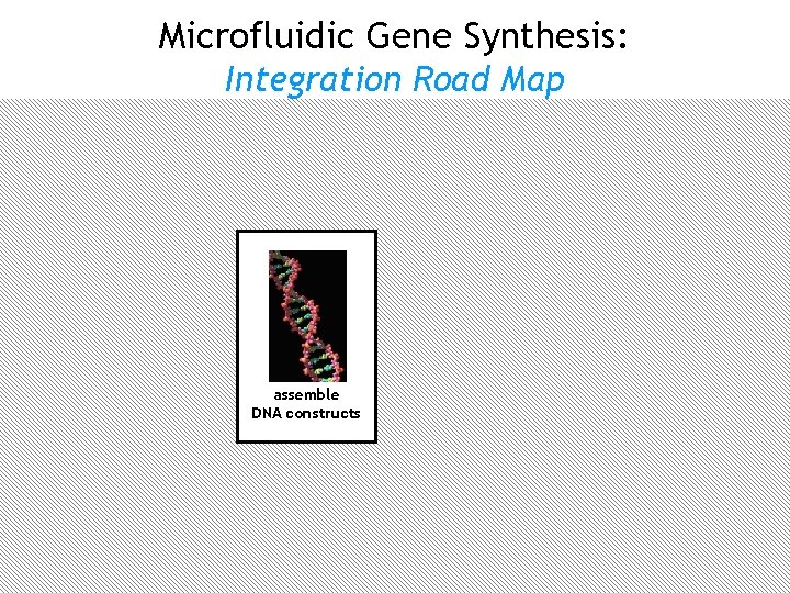 Microfluidic Gene Synthesis: Integration Road Map oligo microarray synthesis user designs DNA error correction