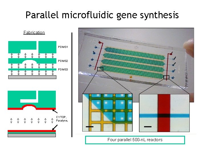 Parallel microfluidic gene synthesis Fabrication PDMS 1 PDMS 2 PDMS 3 CYTOP, Paralyne, Four