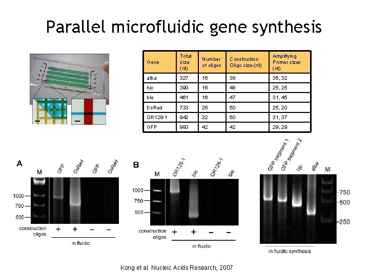 Parallel microfluidic gene synthesis Gene Total size (nt) Number of oligos Construction Oligo size