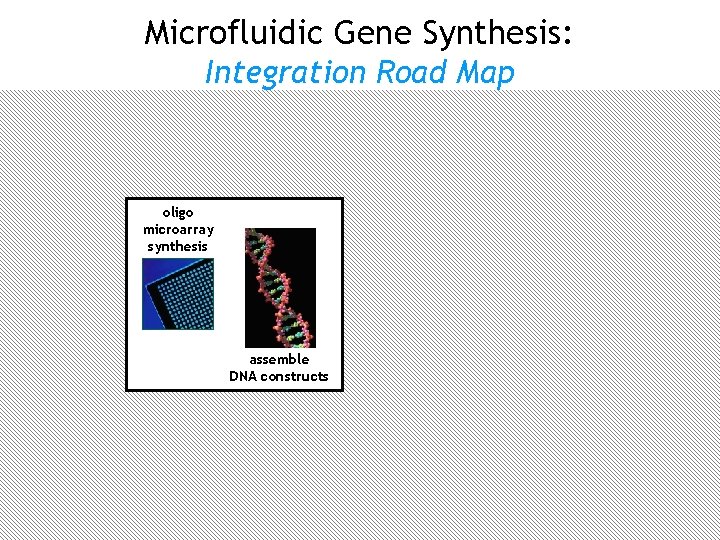 Microfluidic Gene Synthesis: Integration Road Map oligo microarray synthesis user designs DNA error correction