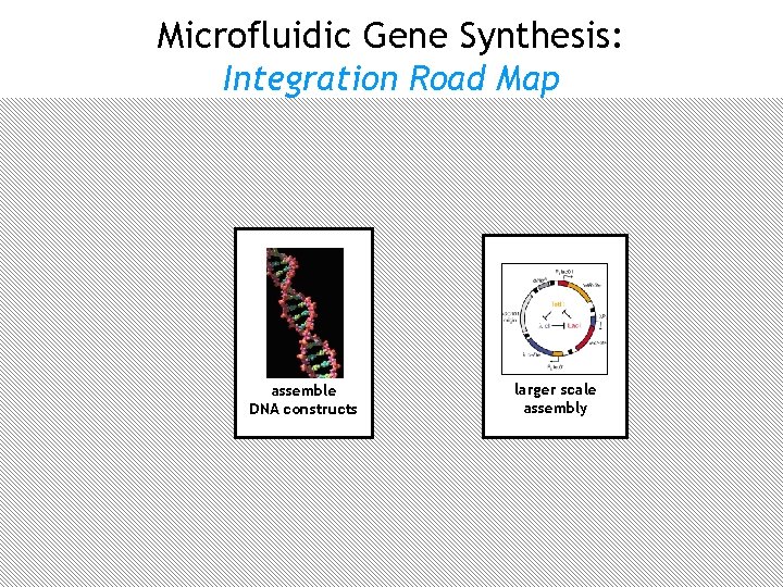 Microfluidic Gene Synthesis: Integration Road Map oligo microarray synthesis user designs DNA error correction