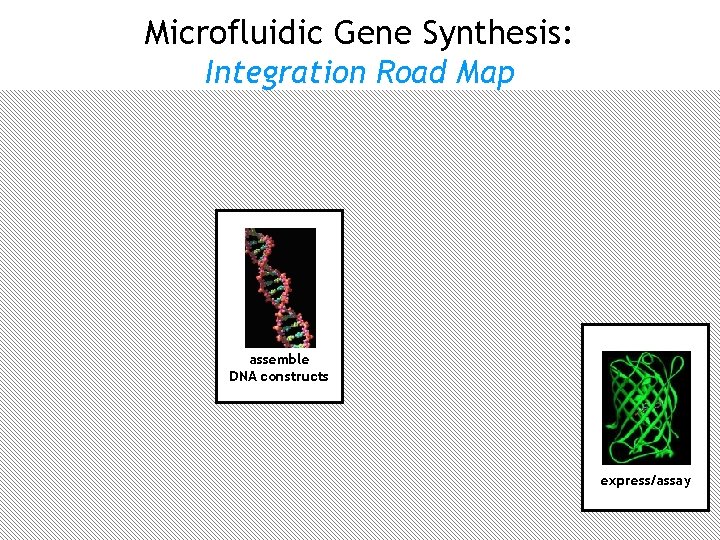 Microfluidic Gene Synthesis: Integration Road Map oligo microarray synthesis user designs DNA error correction